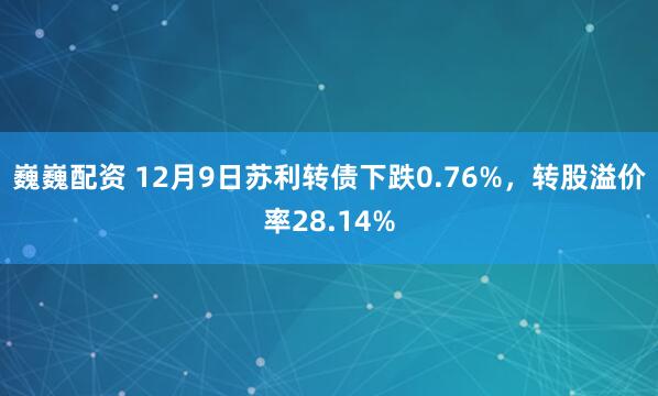巍巍配资 12月9日苏利转债下跌0.76%，转股溢价率28.14%