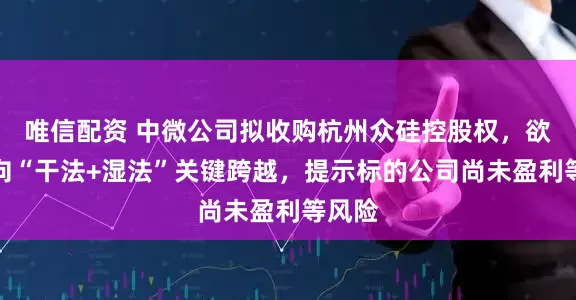 唯信配资 中微公司拟收购杭州众硅控股权，欲完成向“干法+湿法”关键跨越，提示标的公司尚未盈利等风险