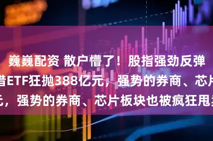 巍巍配资 散户懵了！股指强劲反弹，主力机构却借ETF狂抛388亿元，强势的券商、芯片板块也被疯狂甩卖